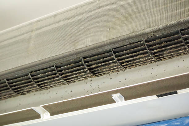 Best Air Duct Cleaning Near Me  in Southgate, MI